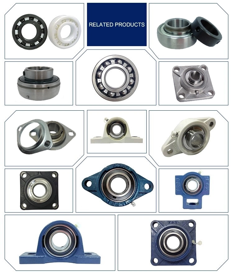 High Speed NTN NSK Koyo Snl Series Pillow Plummer Block Bearing Housing for Roller Bearings